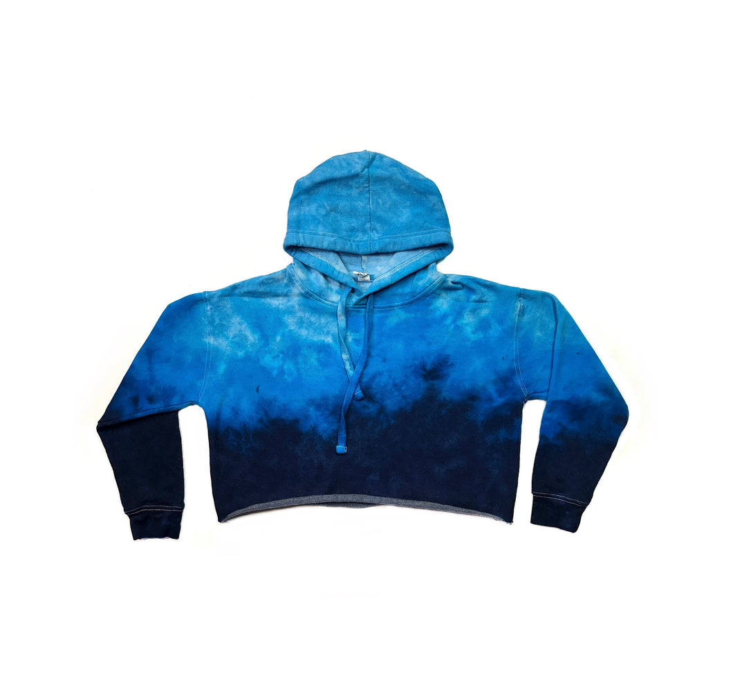 The Whale Shark Cropped Hoodie